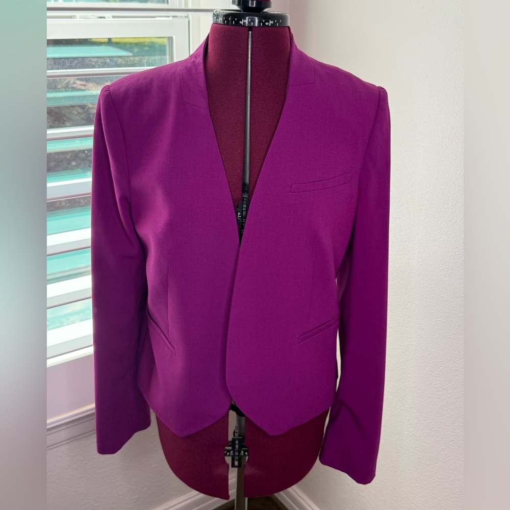 The Limited Fuschia Blazer